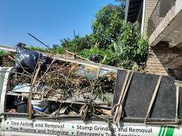 Best Appliance Removal  in Minneapolis, MN